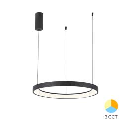 Lustra LED suspendata BELLA RND cu 3 prinderi - 36W  3CCT (Negru)